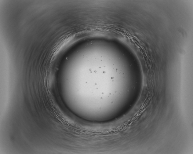 X0000113340005200909151140