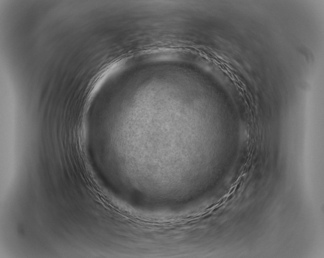 X0000113340006200909151140