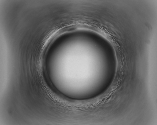 X0000113340007200909151140