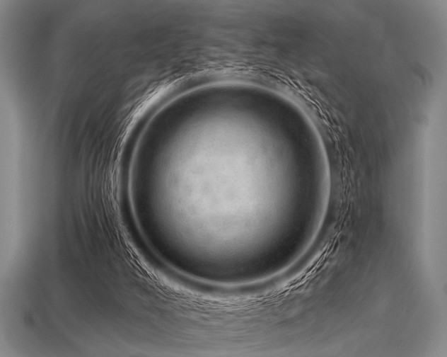 X0000113340008200909151140