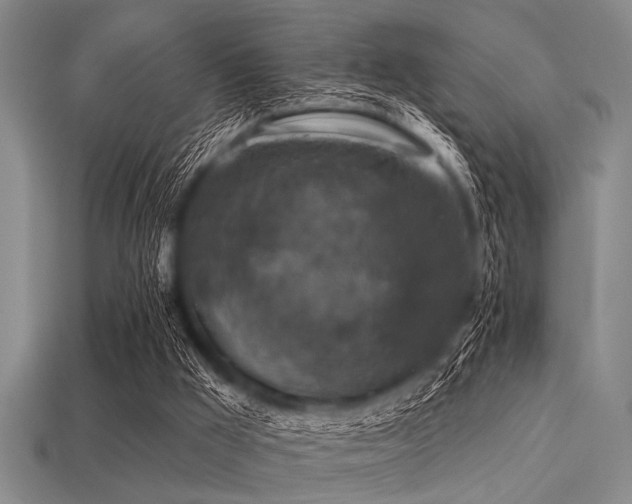 X0000113340009200909151140