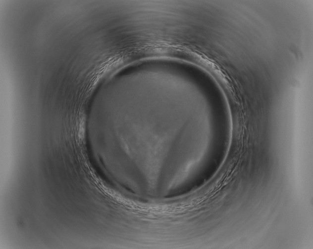 X0000113340010200909151140