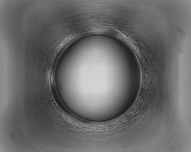 X0000113340011200909151140