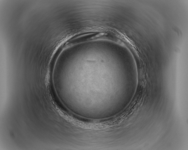 X0000113340012200909151140