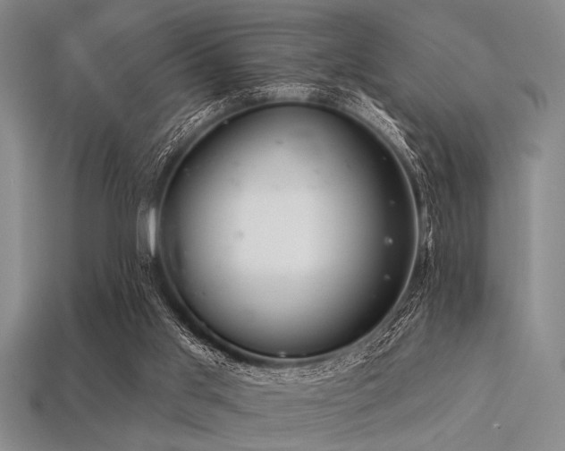X0000113340013200909151140