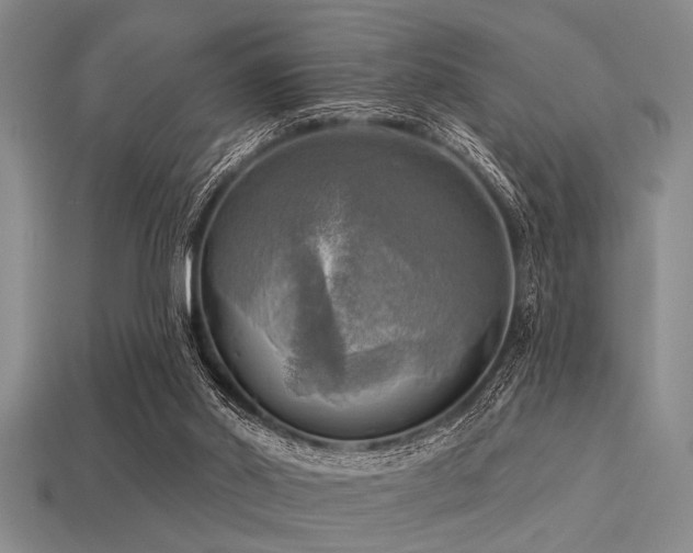 X0000113340014200909151140