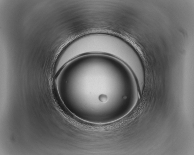 X0000113340015200909151140