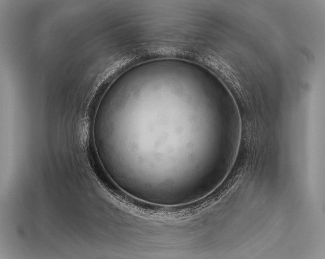 X0000113340016200909151140