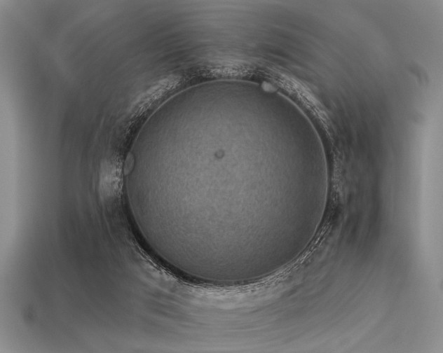 X0000113340017200909151140
