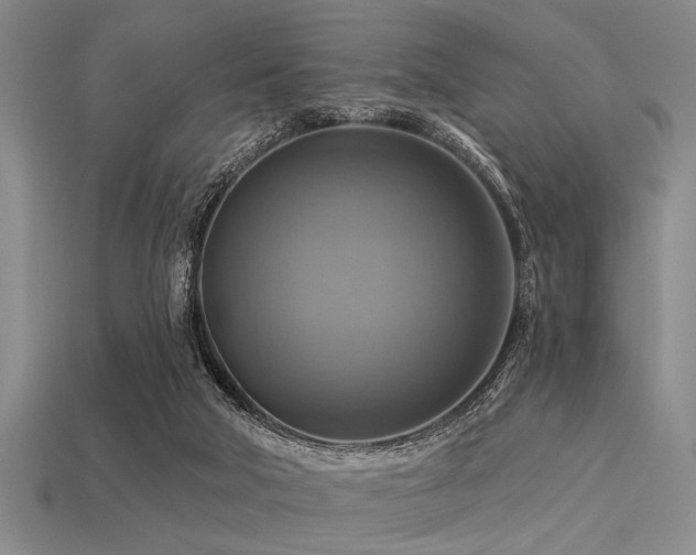 X0000113340018200909151140