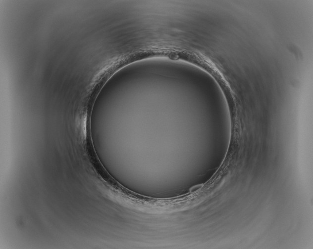 X0000113340019200909151140