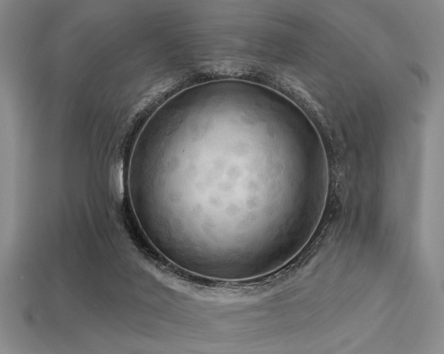 X0000113340020200909151140