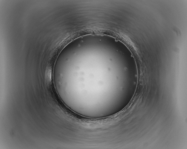 X0000113340021200909151140