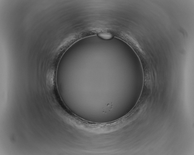 X0000113340023200909151140