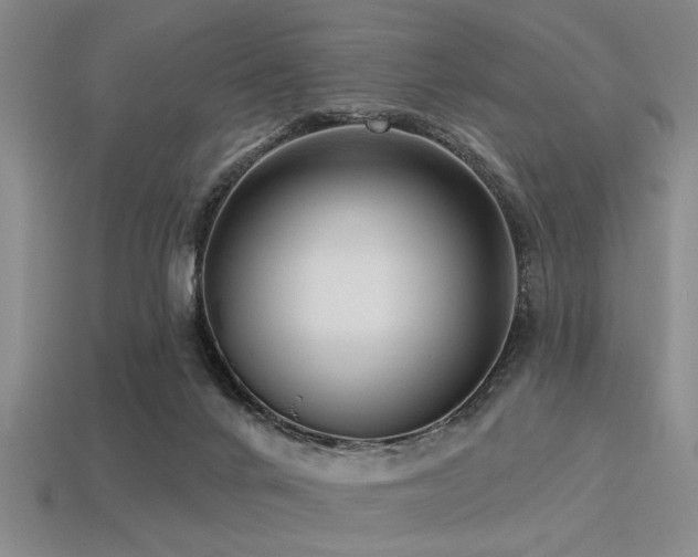 X0000113340024200909151140