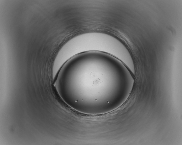 X0000113340025200909151140