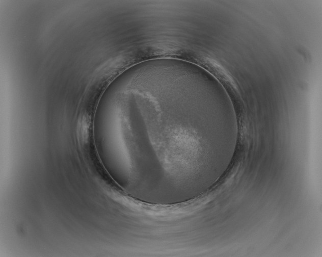 X0000113340026200909151140