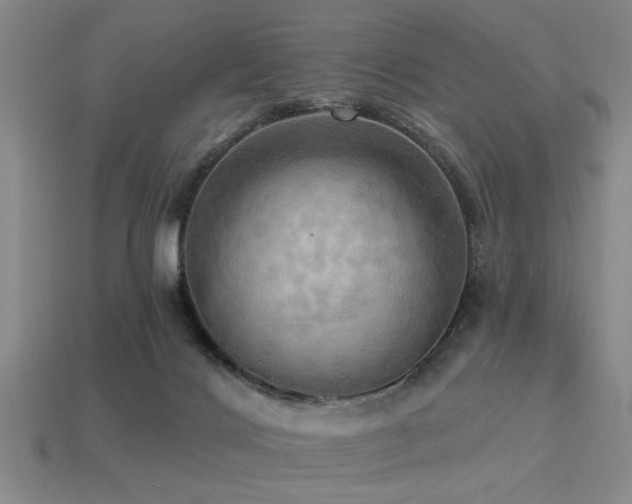 X0000113340028200909151140