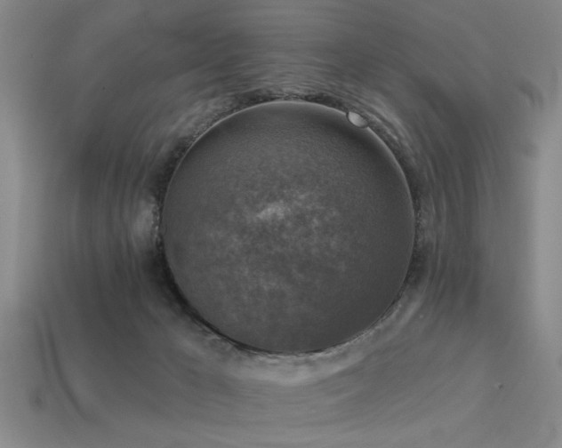 X0000113340029200909151140