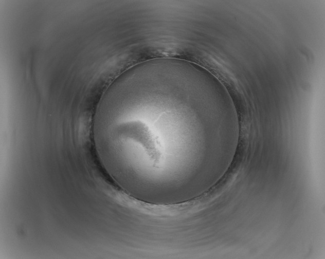 X0000113340030200909151140