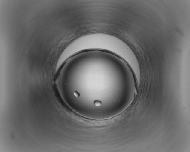 X0000113340031200909151140