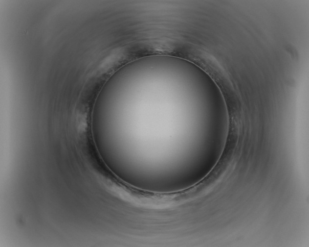 X0000113340032200909151140
