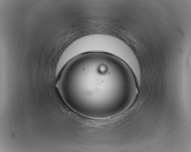 X0000113340033200909151140