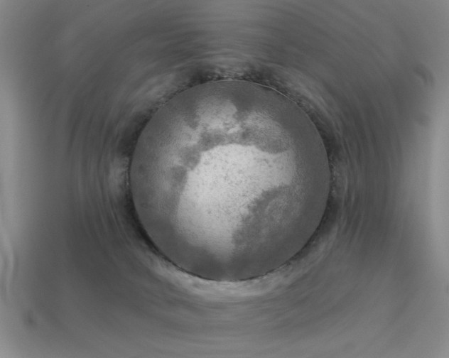 X0000113340034200909151140