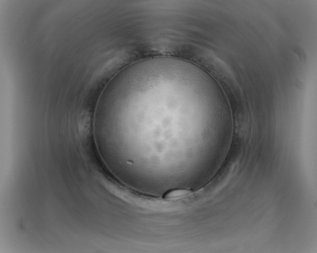 X0000113340036200909151140