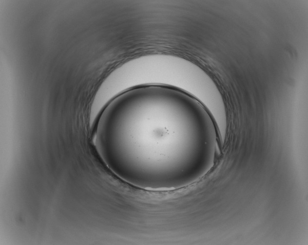 X0000113340037200909151140