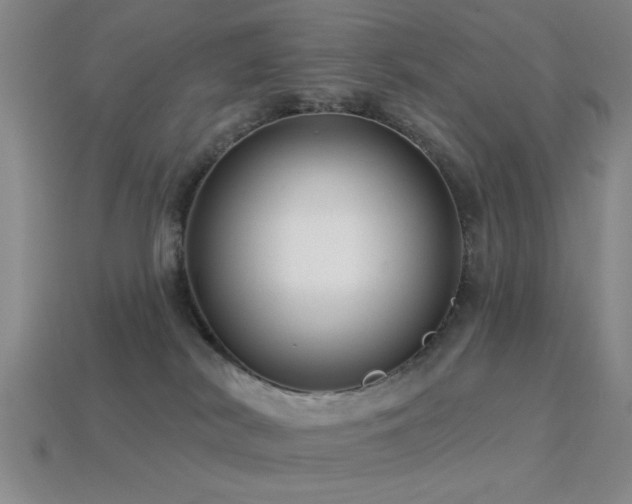 X0000113340038200909151140
