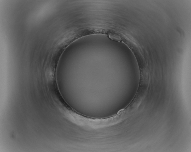 X0000113340039200909151140