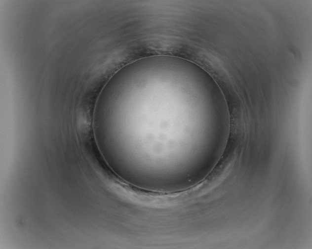 X0000113340040200909151140