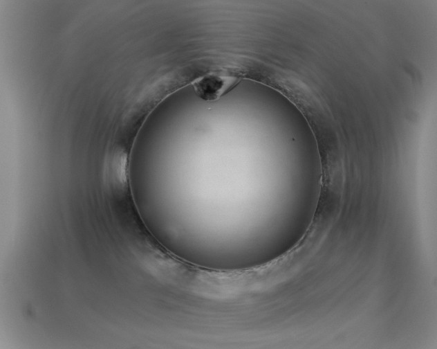 X0000113340041200909151140