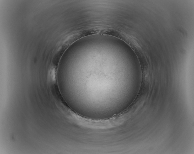 X0000113340042200909151140