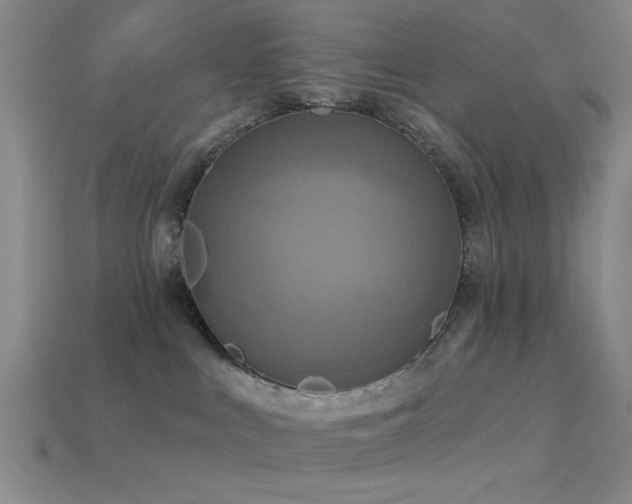 X0000113340043200909151140
