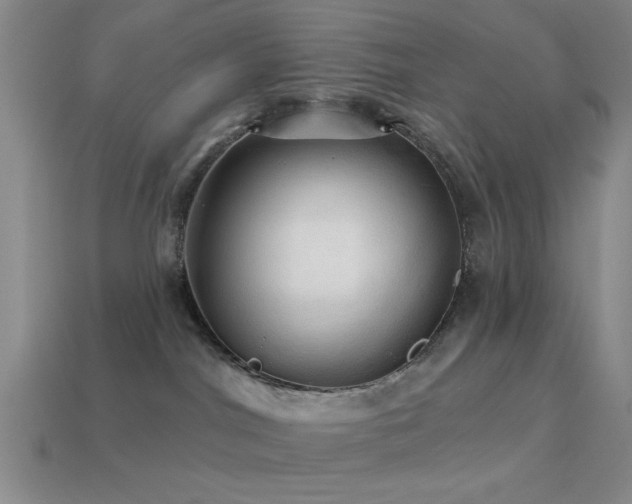 X0000113340044200909151140