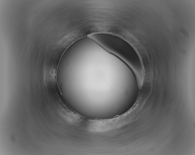 X0000113340045200909151140