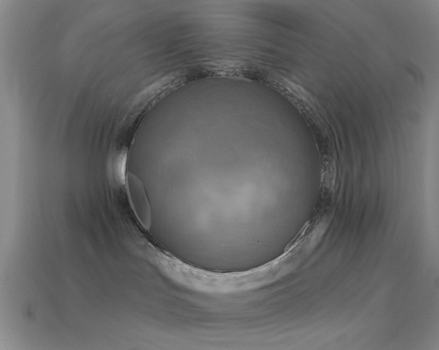X0000113340047200909151140