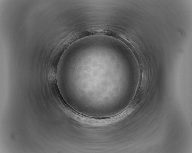 X0000113340048200909151140
