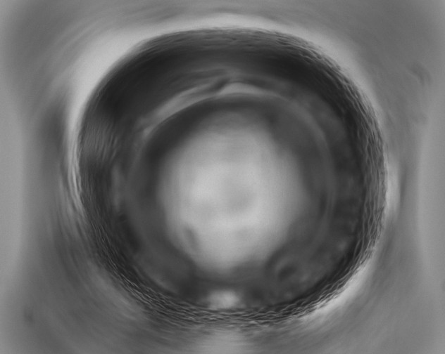 X0000113340050200909151139