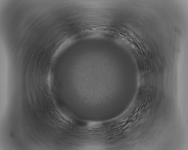 X0000113340051200909151139