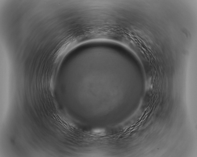 X0000113340052200909151139