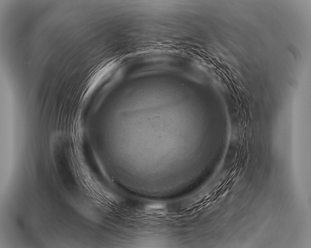 X0000113340053200909151139