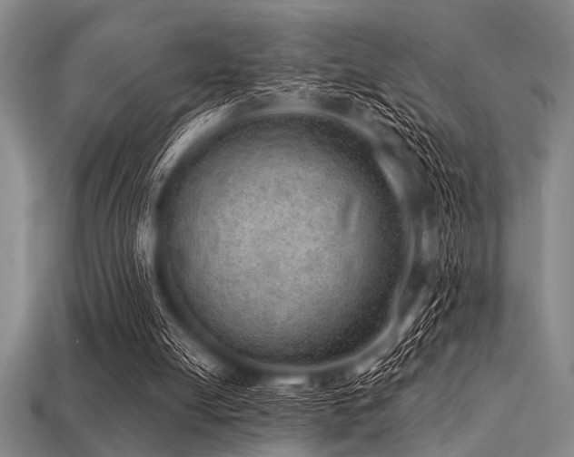 X0000113340054200909151139
