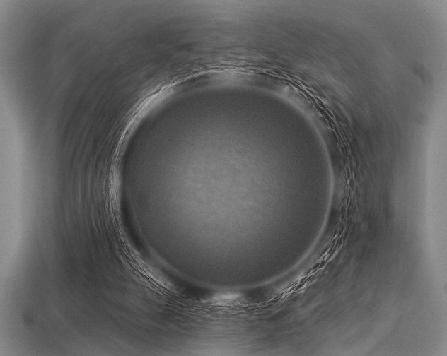 X0000113340055200909151139