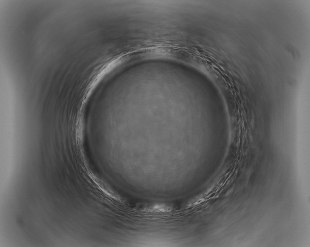 X0000113340056200909151139