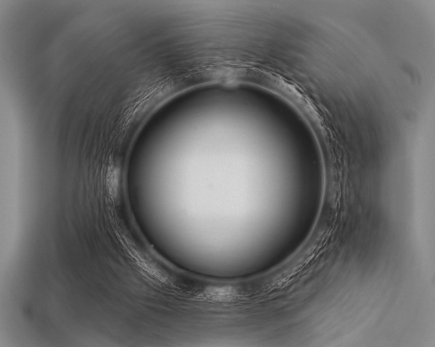 X0000113340057200909151139
