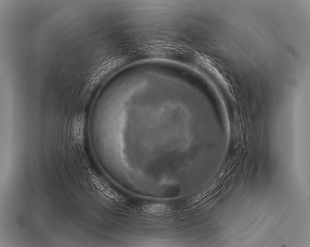 X0000113340058200909151139