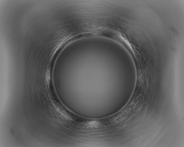 X0000113340059200909151139